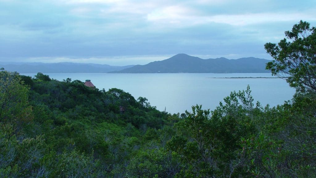 A hilly view from the Wasiwaska house overlooking a green lush forest with a bit of ocean in the background. Behind the ocean area, you can see mountains pointing towards a cloudy sky.